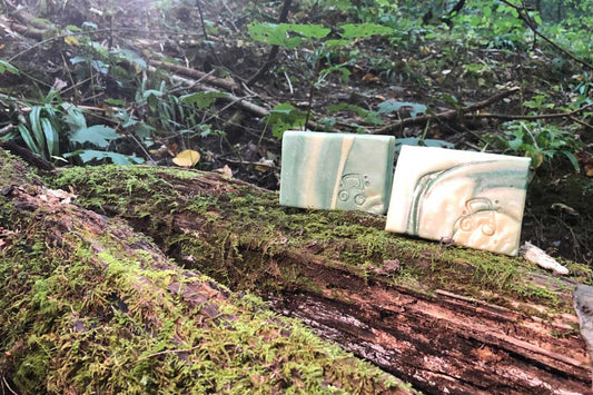 Why We Use Plants (and Which Ones) Are In Our Soap